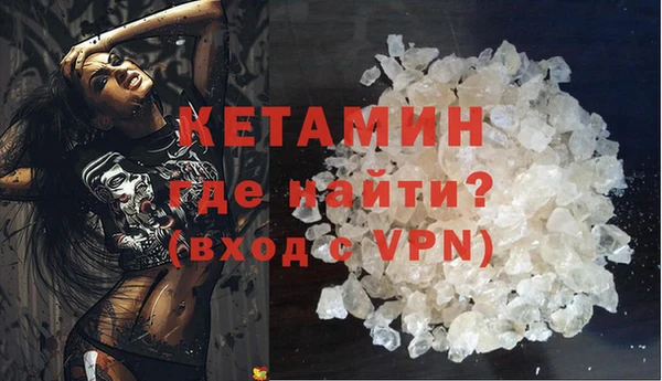 прущие грибы Абаза